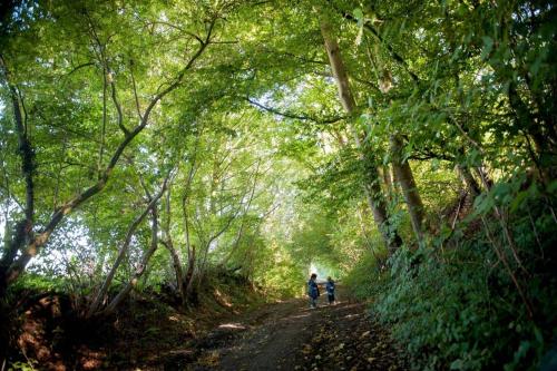 two people walking down a dirt road through a forest at Ferme Delgueule in Tournai
