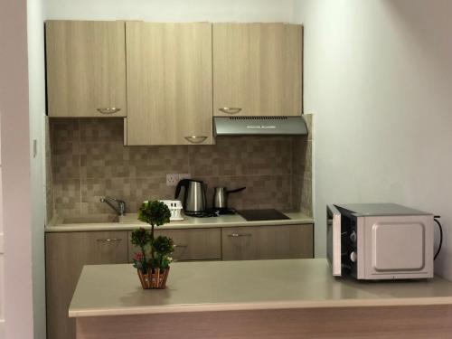 Kuchyň nebo kuchyňský kout v ubytování Kasapis Apts