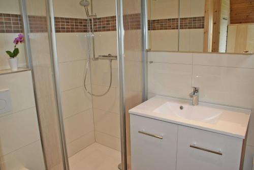 a bathroom with a shower and a sink at Zeltdachhaus mit moderner Ausstattung in Damp