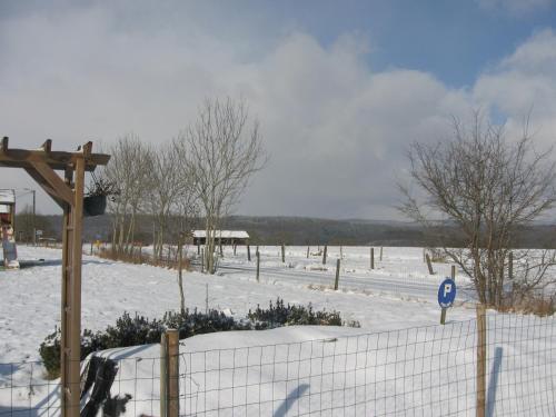 a snow covered field with trees and a fence at Villa Cambo in Grandhan