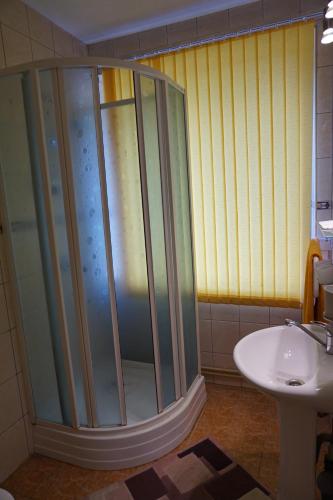 uma casa de banho com um chuveiro e um lavatório. em Guesthouse Bērzi em Plācis