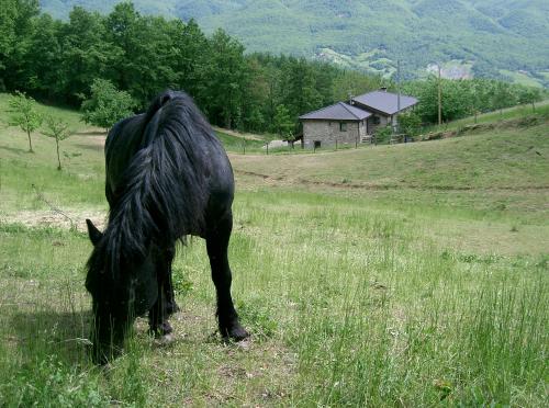 Gallery image of Agriturismo Le Querciole in Borgo Val di Taro
