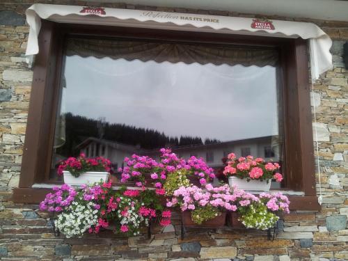 a window with flowers on a brick wall at Hotel Iva & Elena in Pamporovo