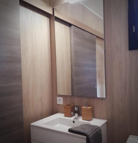 a bathroom with a white sink and a mirror at Manège de la Chapinière - DadaLoge tiny-house in Châteauvieux