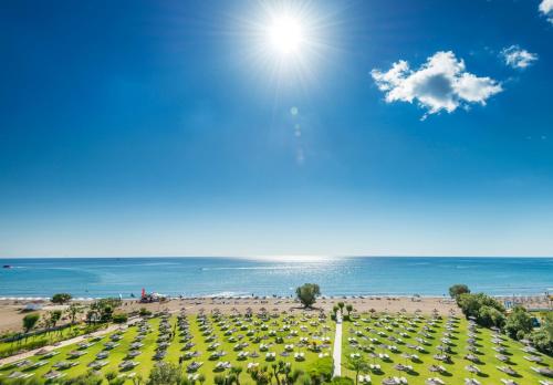 a large field of flowers with the beach in the background at Apollo Beach in Faliraki