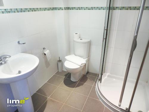 a bathroom with a toilet and a sink and a shower at Princes Dock Chambers 8 in Hull