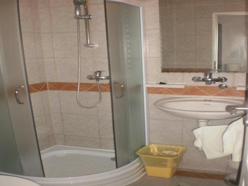 a bathroom with a shower and a sink at Rooms Lutra in Bilje