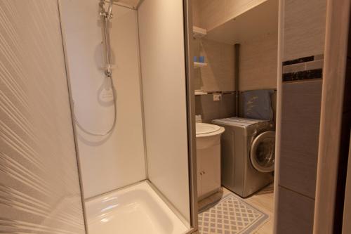 a bathroom with a shower and a washing machine at APPARTEMENT 4 PERSONNES CLASSE 2 ETOILES LEBOUCQ Laurent in Fort-Mahon-Plage