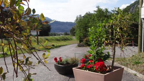 two pots with red flowers in a driveway at Motel - Hôtel "Inter-Alp" à St-Maurice in Saint-Maurice