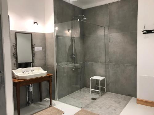 een badkamer met een wastafel en een douche bij La Charuel in Épernay