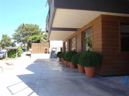 a row of potted plants sitting outside of a building at Hotel Terraza Suite in Villarrica