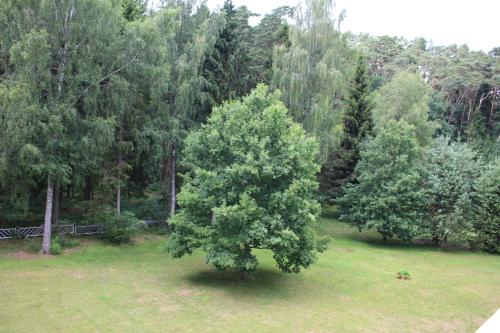 Gallery image of Egliu Slenis in Juodkrantė