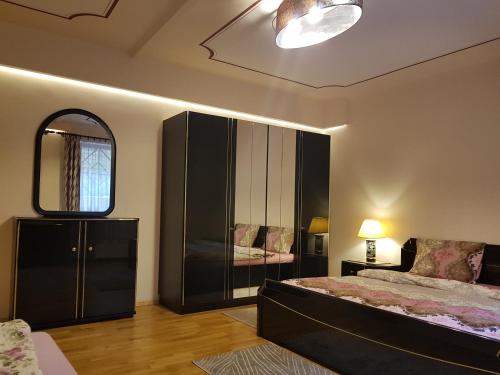 ブダペストにあるPalma Villa in City Park Budapest - semi suterenのベッドルーム1室(ベッド1台、ドレッサー、鏡付)