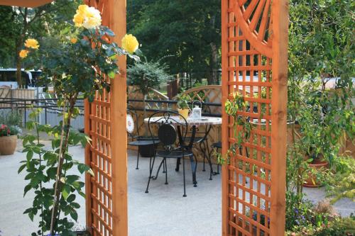 Κήπος έξω από το Apartamenty Kornel
