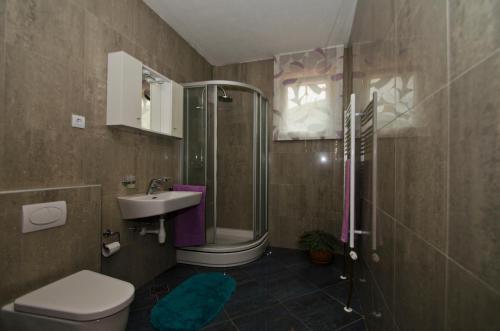 a bathroom with a shower and a toilet and a sink at Rooms Leda in Vrlika