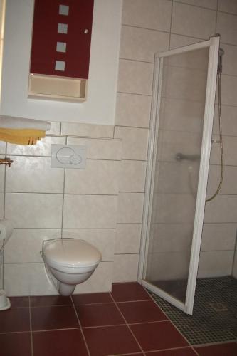 a bathroom with a toilet and a shower at Landhaus-Nordseekueste in Jethausen