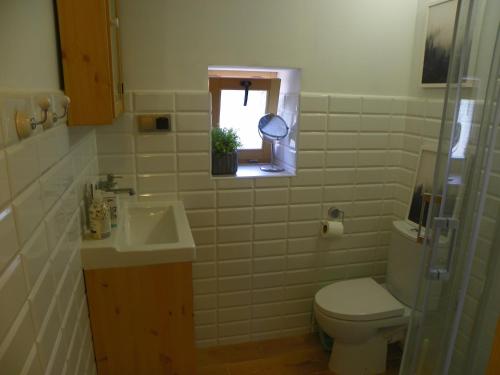 baño con aseo y lavabo y ventana en Dom Letniskowy Ostaszewo, en Hartowiec