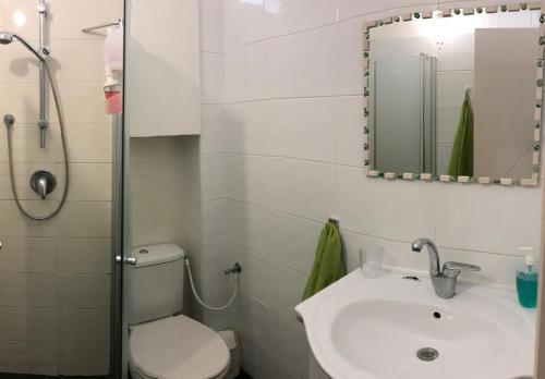 uma casa de banho com um lavatório, um WC e um espelho. em Lucy em Netanya