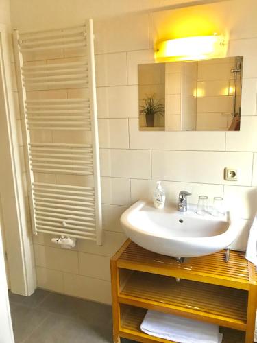 a bathroom with a sink and a mirror at Ferienhaus am Schaalsee in Zarrentin