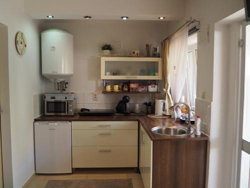 eine kleine Küche mit einer Spüle und einer Mikrowelle in der Unterkunft Penzion Pohoda in Lednice