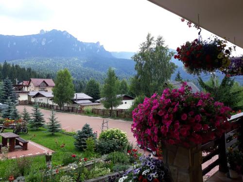 a view of a garden with flowers on a fence at Pensiunea Maria in Durau