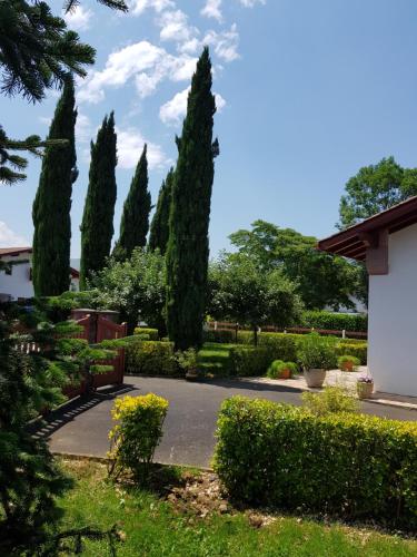 une rangée de cyprès dans un jardin dans l'établissement Maison Bakea, à Saint-Jean-Pied-de-Port