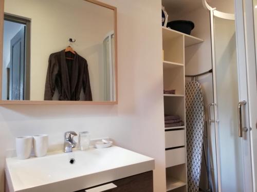 une salle de bain avec un lavabo blanc et un miroir dans l'établissement Marmotte, à Gérardmer