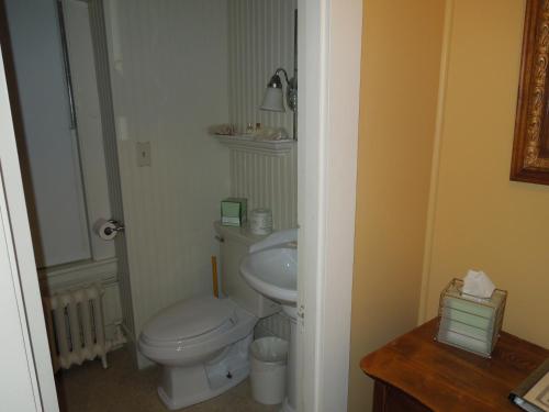 a bathroom with a white toilet and a sink at Wildcat Inn and Tavern in Jackson