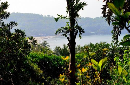 a view of the ocean from a forest with a palm tree at Namaste Yoga Farm in Gokarna