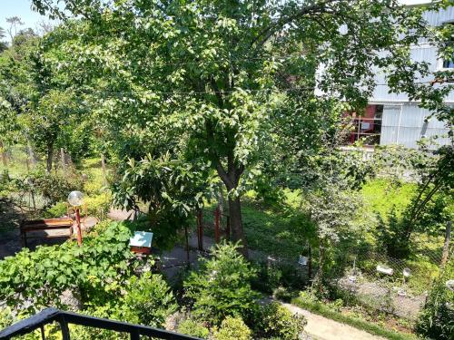 a garden with a tree and a bench at Guest house of Givi in K'obulet'i