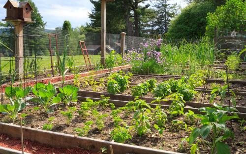 a garden with several plots of plants at Devonfield Inn in Lee