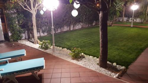 a park at night with a blue bench and trees at Maison Tizi in Passoscuro