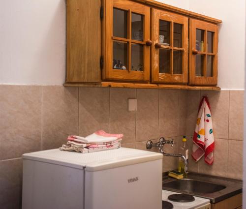a kitchen with a white refrigerator and a sink at Dunavski Park in Novi Sad