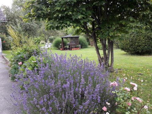 a garden with purple flowers next to a tree at Villa Nusswald in Krumpendorf am Wörthersee