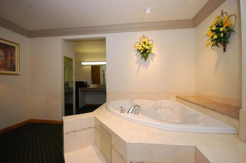 صورة لـ Cloverdale Wine Country Inn & Suites في كلوفرديل