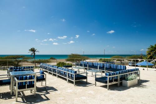 a row of blue chairs on the beach at Blue Residences in Palm-Eagle Beach