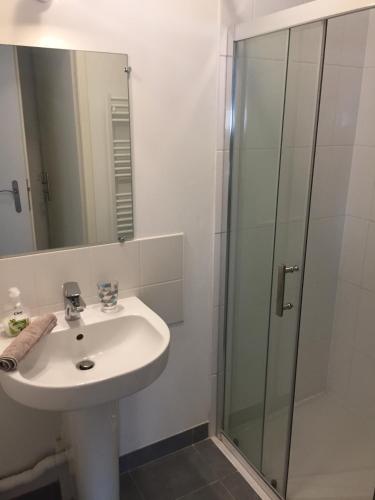 une salle de bain avec un lavabo et une douche dans l'établissement SouheilRebekaHome, à Serris