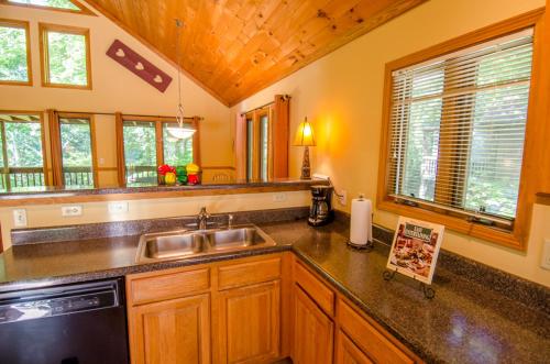 a kitchen with a sink and a stove at Asheville Cabins of Willow Winds in Asheville