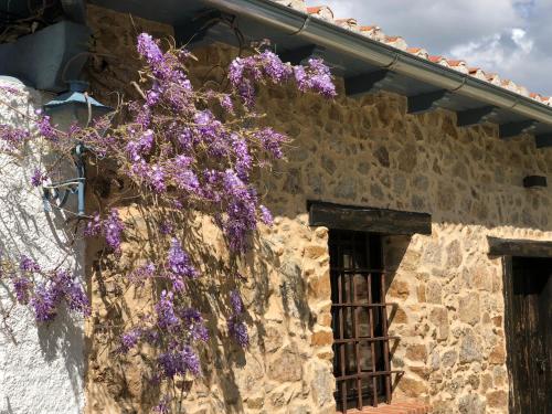 Ein Baum mit lila Blumen hängt an der Seite eines Gebäudes in der Unterkunft La Casita Del Castañar in Béjar