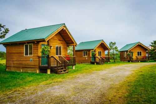 rząd drewnianych domków na polu z polną drogą w obiekcie River Lodge w mieście Island Park