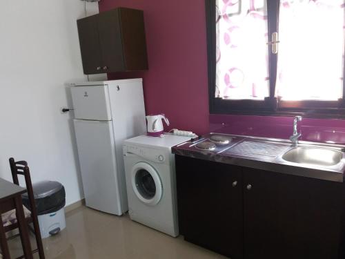 a kitchen with a washing machine and a refrigerator at Manos Apartments in Agios Nikolaos