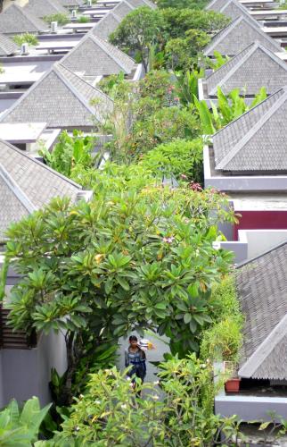 a man standing under a large tree on a building at Aria Exclusive Villas & SPA in Seminyak