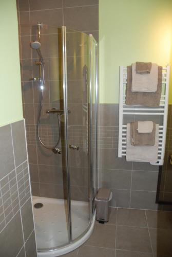 une salle de bain avec une douche avec une porte vitrée dans l'établissement E-Harz Ar Menez, à Mont-Dol