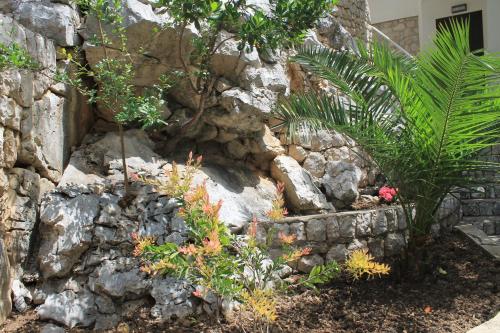 a stone retaining wall with plants in a garden at Villa Hortus in Neum