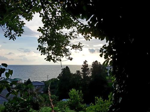 a view of the ocean from a tree at Старый дом! in Chakvi