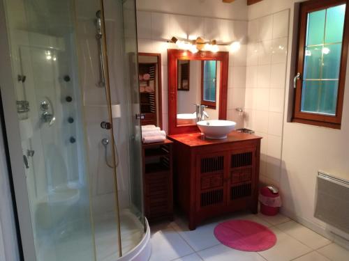 ein Bad mit einer Dusche, einem Waschbecken und einem Spiegel in der Unterkunft Le Clos des Hortensias in Toutainville
