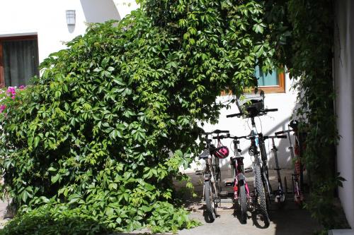 Ciclismo en Apart Raich o alrededores