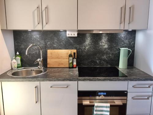 a kitchen with a sink and a counter top at Central Stockholm with Free Airport Pickup in Stockholm