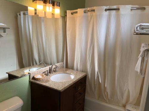 a bathroom with a sink and a shower curtain at American Inn & Suites LAX Airport in Inglewood