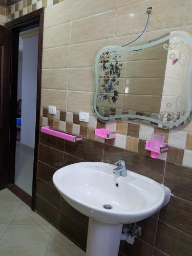 a bathroom with a white sink and a mirror at Stanley Bridge Apartment in Alexandria